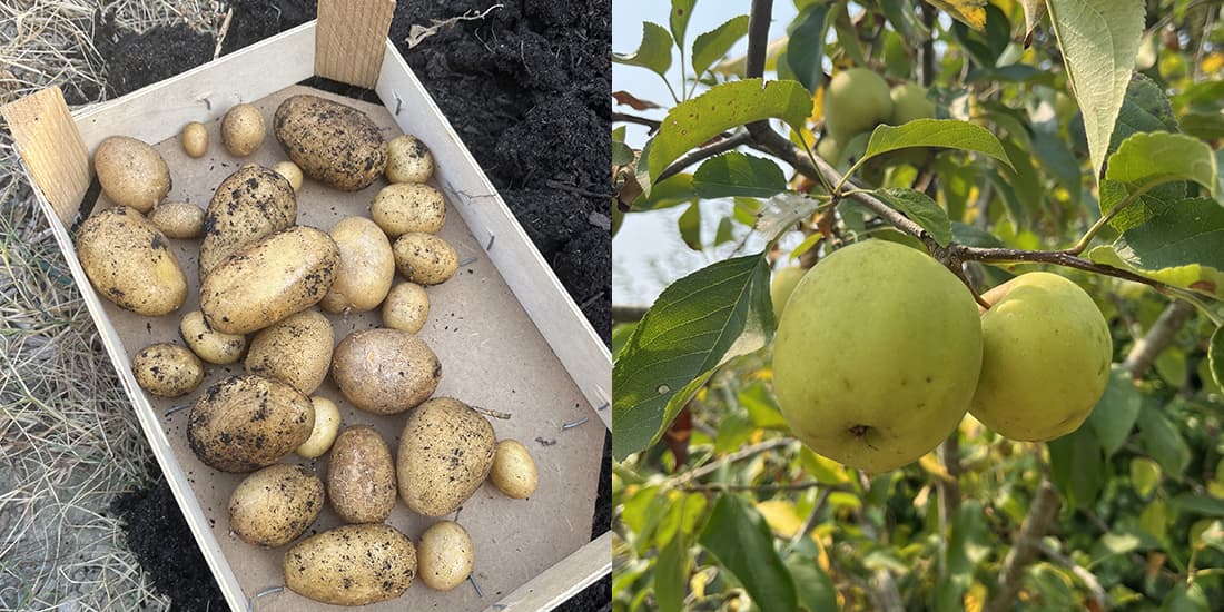 Kijkje in de keuken: augustus 2025 - foto 8