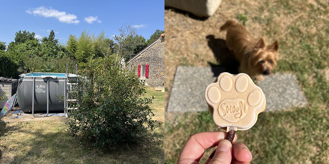 Kijkje in de keuken: juli 2025 - foto 17