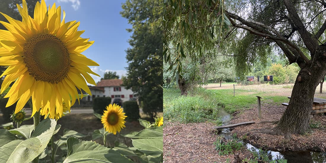 Kijkje in de keuken: juli 2025 - foto 22