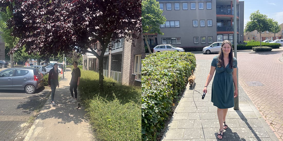 Kijkje in de keuken: juni 2025 - foto 9