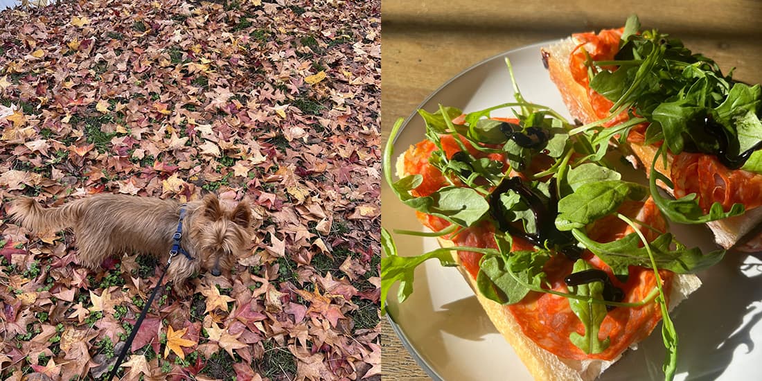 Een kijkje in de keuken - november 2025 - foto 7