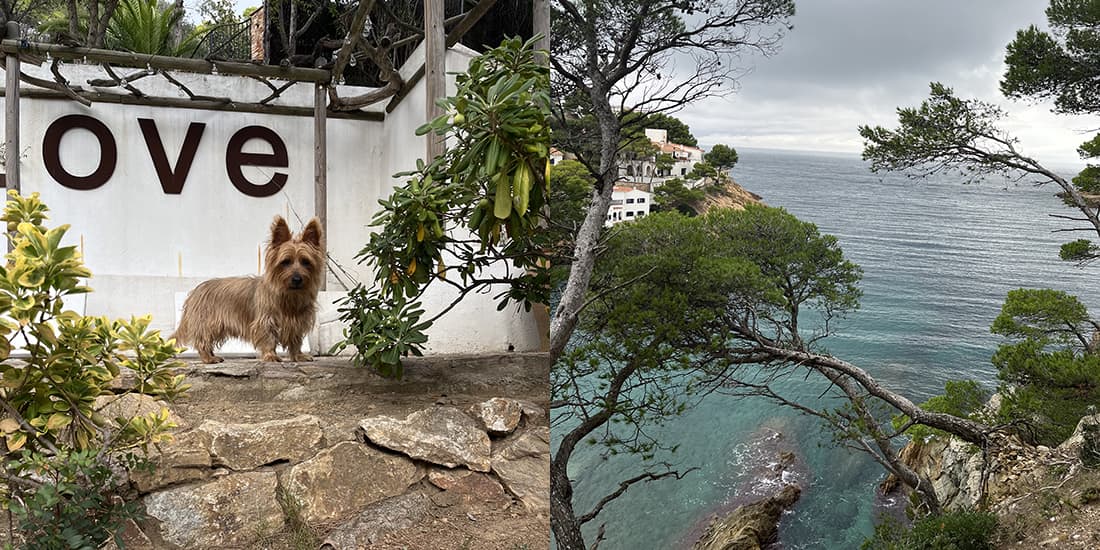 Kijkje in de keuken: oktober 2025 - foto 11