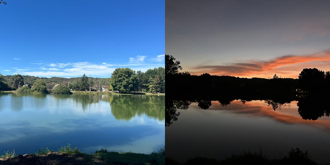 Kijkje in de keuken: september 2025 - foto 9