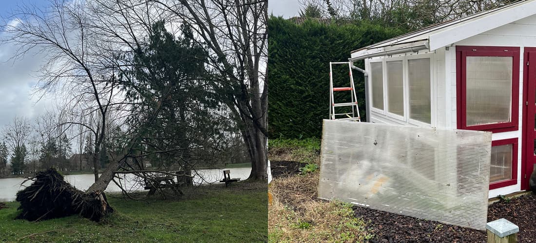 Een kijkje in de keuken - februari 2026 - 2