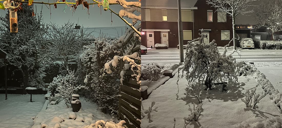 Een kijkje in de keuken - februari 2026 - 7