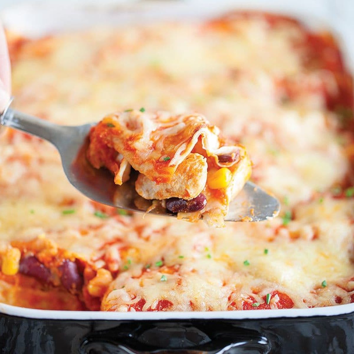 Enchiladas met kip