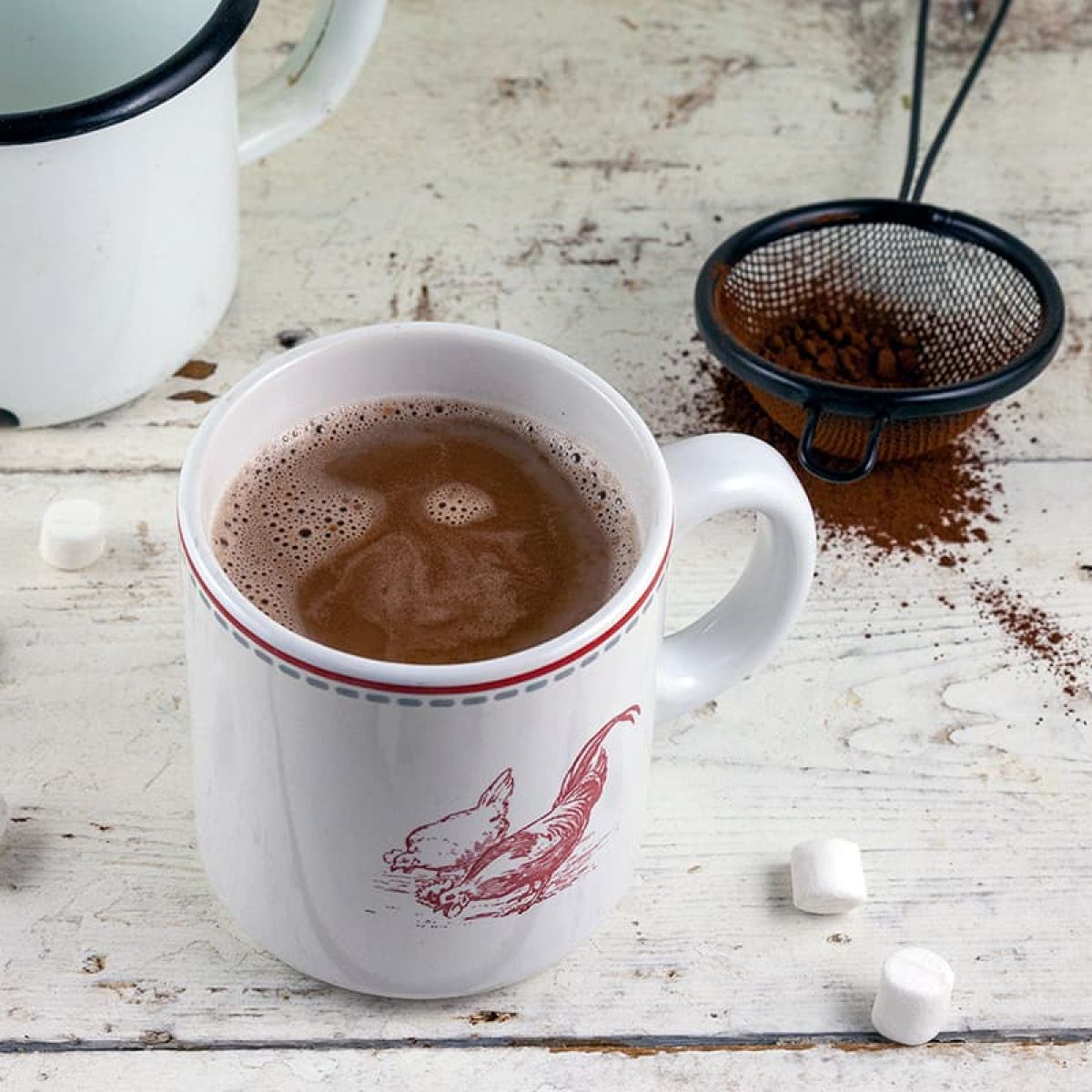 Warme chocolademelk van cacao
