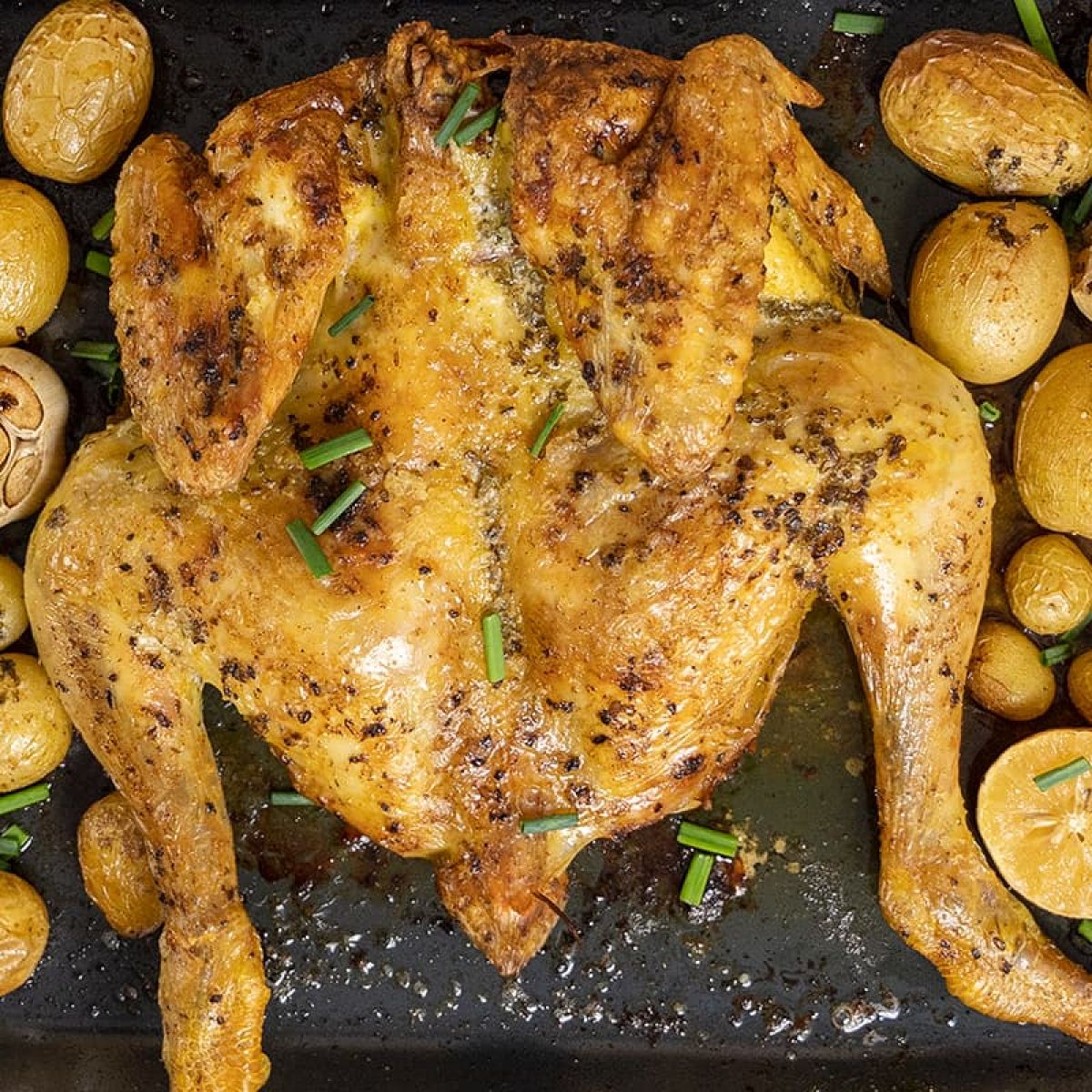 Makkelijke gevlinderde kip uit de oven