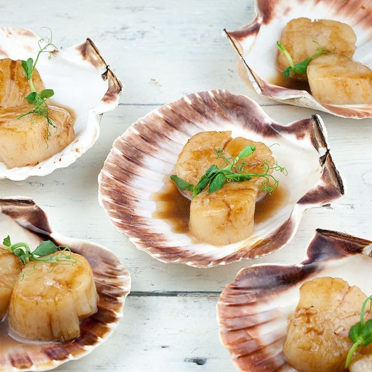 Coquilles St. Jacques met karamel en balsamico (feestelijk gerecht)