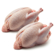 Ingrediënt: Duif
