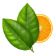 Ingrediënt: Citrusblaadjes (citroen, limoen, sinaasappel)