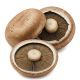 Ingrediënt: Portobello