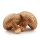 Ingrediënt: Shiitake