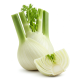 Ingrediënt: Venkel, knol