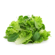 Ingrediënt: Sla (standaard, gemengd)