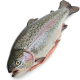 Ingrediënt: Forel, bereid