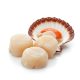 Ingrediënt: Coquilles