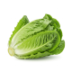 Ingrediënt: Romaine sla