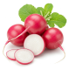 Ingrediënt: Radijs