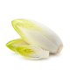 Ingrediënt: Witlof, bereid