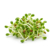 Ingrediënt: Cress