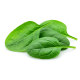 Ingrediënt: Spinazie, vers