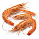Ingrediënt: Scampi of langoustine