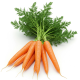 Ingrediënt: Wortelen, vers, waspeen