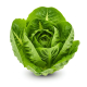 Ingrediënt: Little gem (sla)