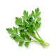 Ingrediënt: Kervel, vers