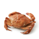 Ingrediënt: Krab