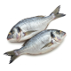 Ingrediënt: Dorade