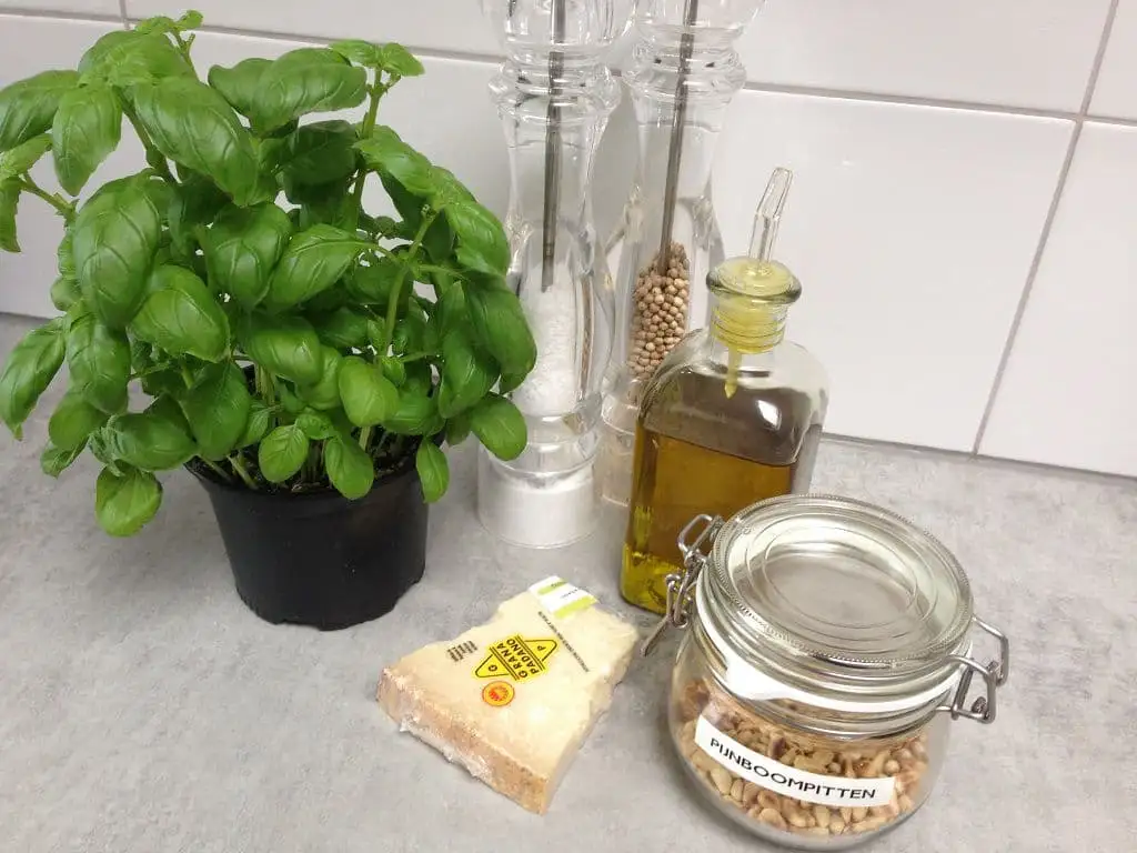 Zelf pesto maken ingrediënten