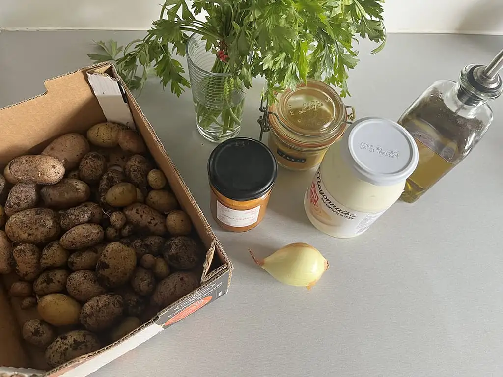 Zuid-Afrikaanse kerrie aardappelsalade ingrediënten