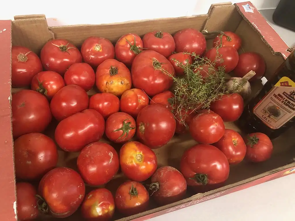 Geroosterde tomatensoep ingrediënten