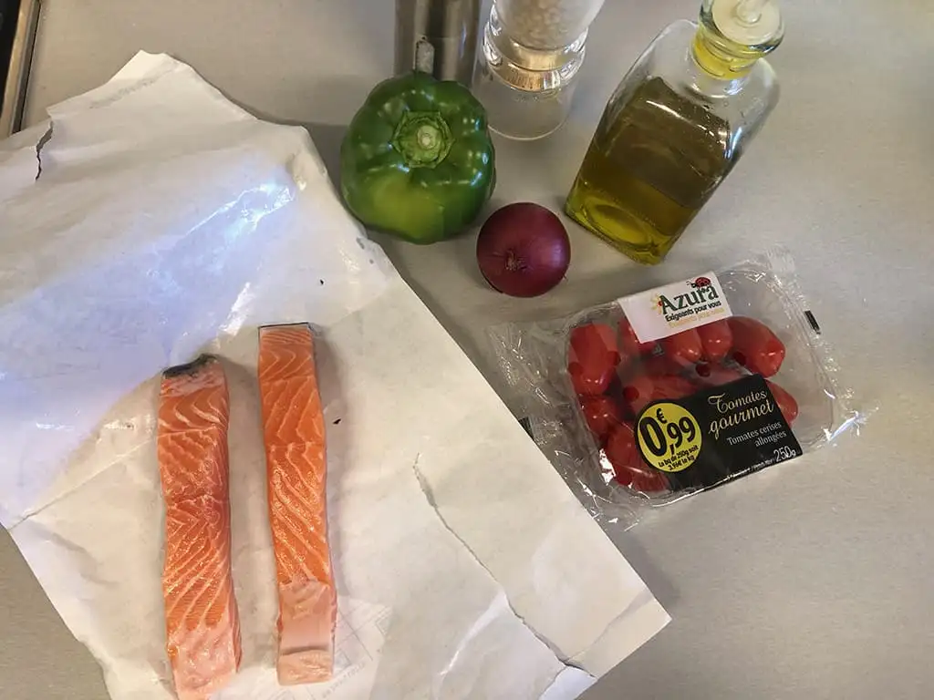 Zalm spiesen van de barbecue ingrediënten