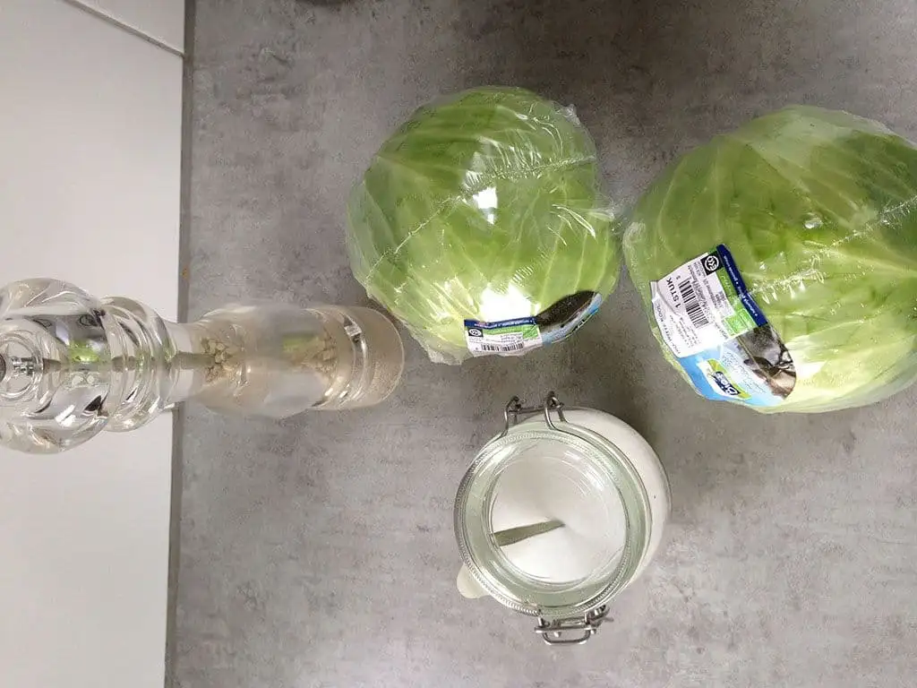 Zelf zuurkool maken ingrediënten