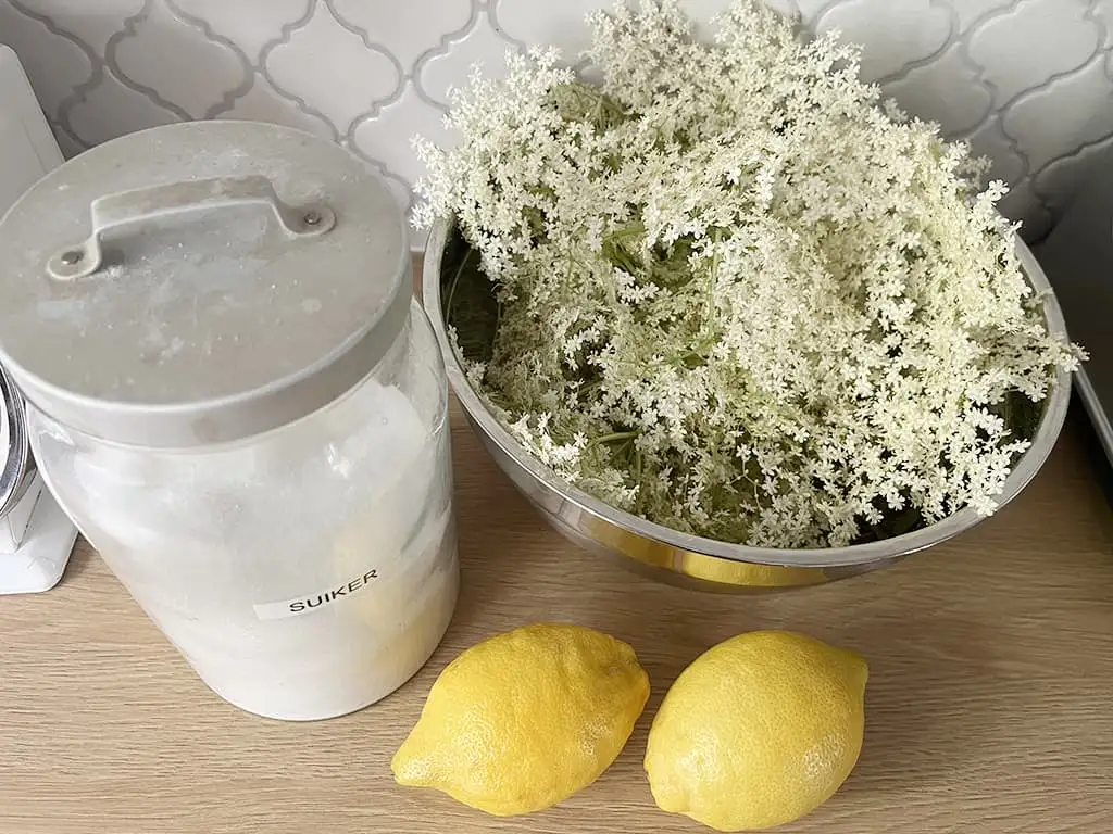 Zelf vlierbloesemsiroop maken ingrediënten