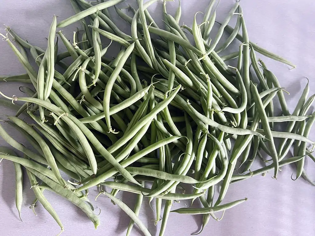 Sperziebonen koken doe je zo ingrediënten