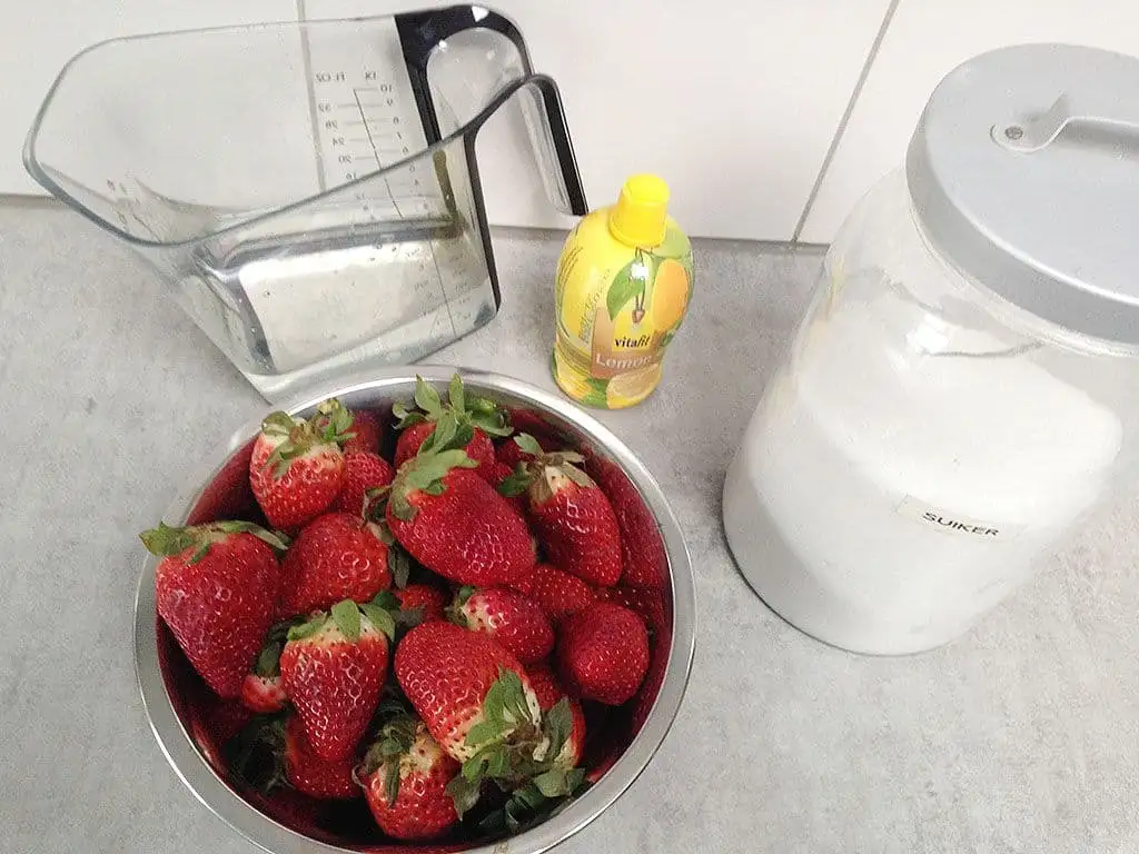 Aardbeiensorbet ingrediënten