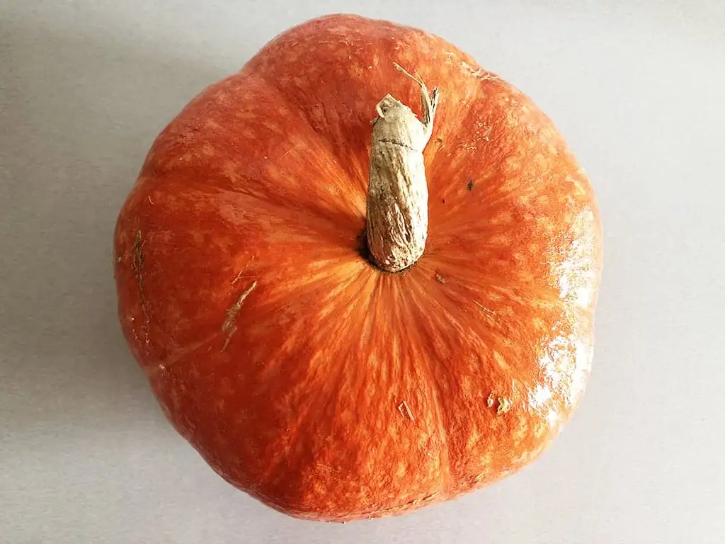 Zelf pompoenpuree maken ingrediënten