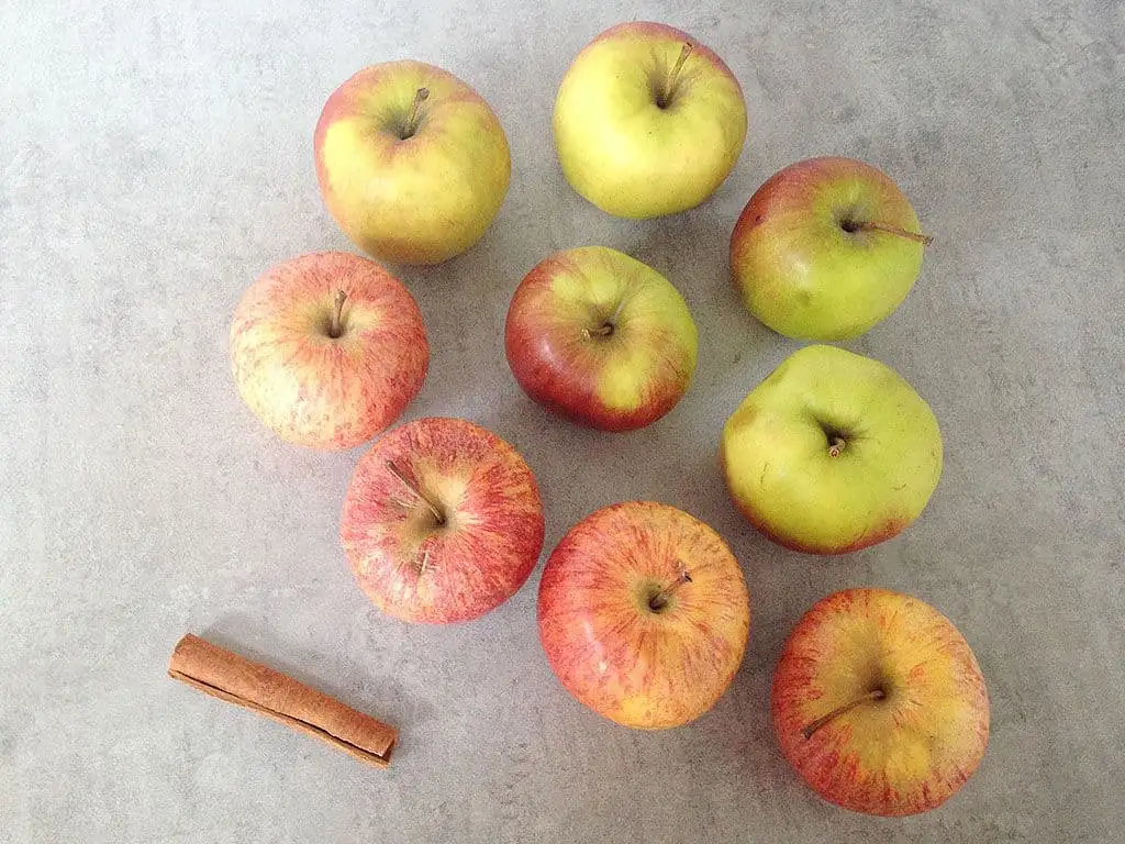 Zelfgemaakte appelmoes ingrediënten
