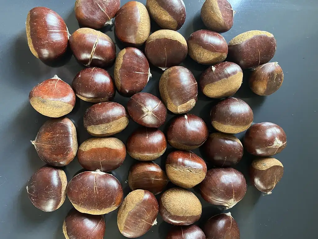 Zelf kastanjes poffen ingrediënten