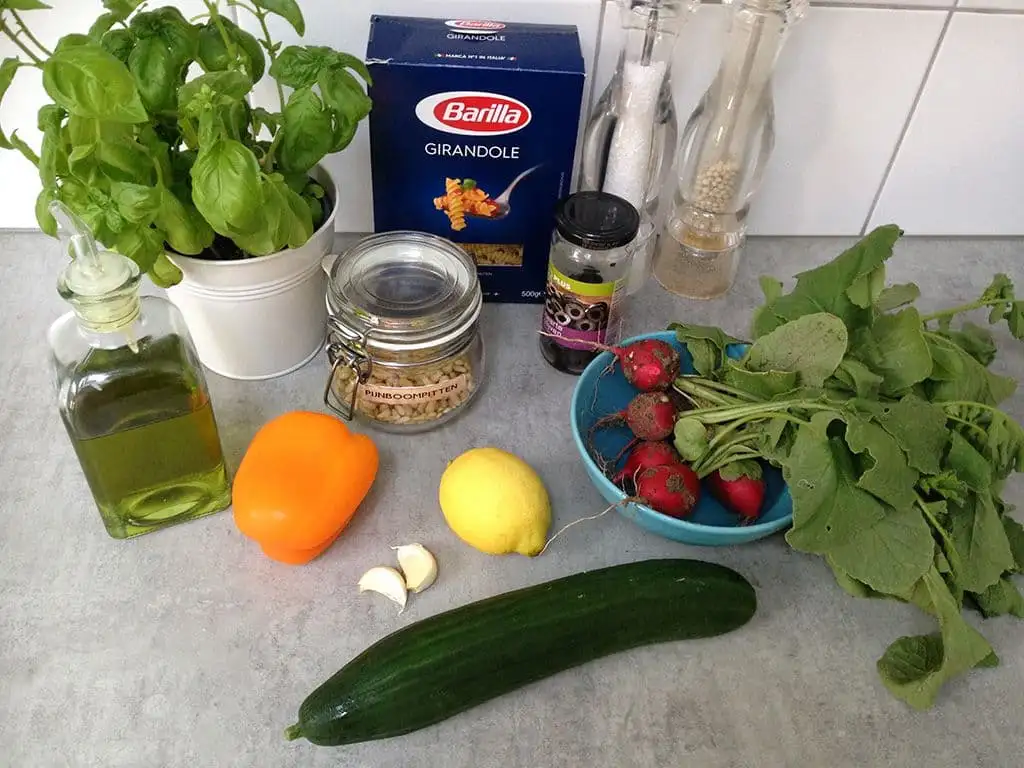 Pasta salade met komkommer en basilicum pesto ingrediënten