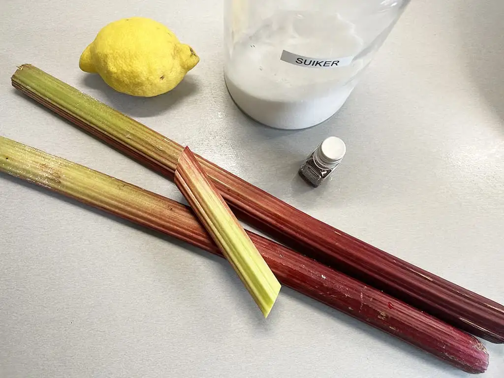 Rabarbersorbet met vanille ingrediënten