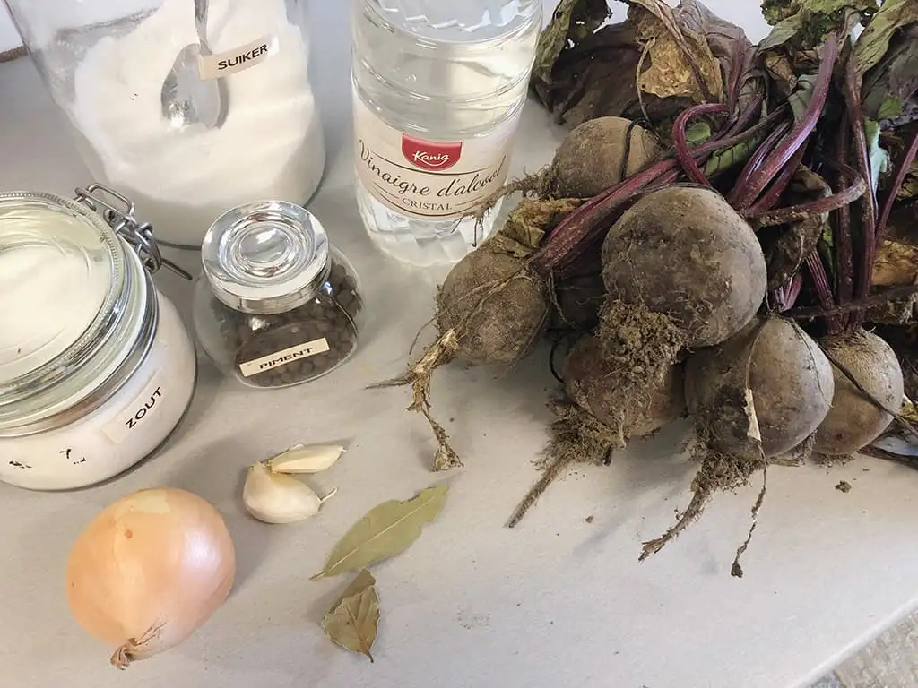 Ingemaakte rode bieten ingrediënten