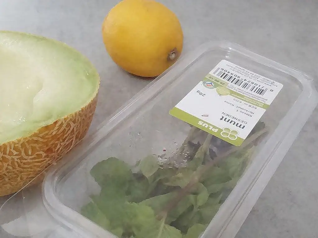 Suikervrije meloen granita met munt ingrediënten