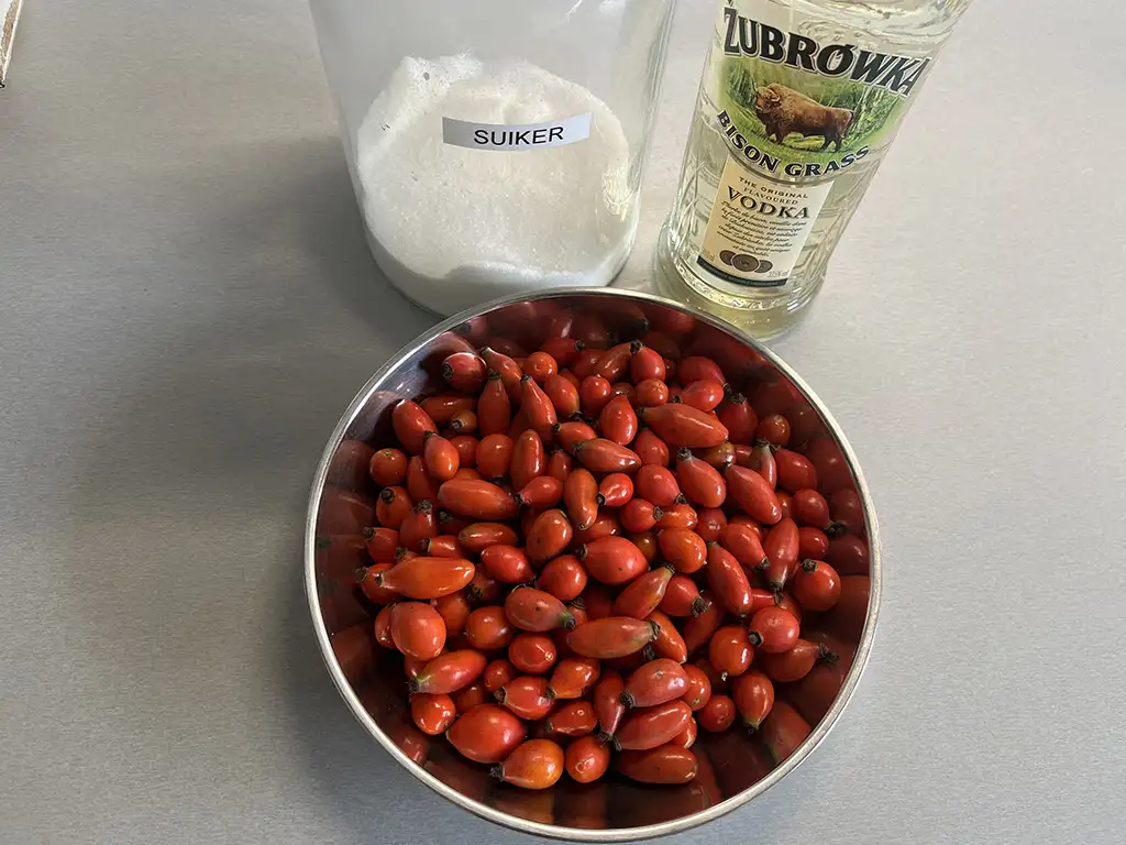 Zelf rozenbottel likeur maken ingrediënten