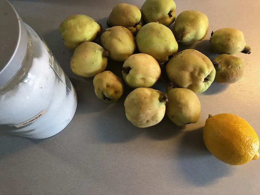 Kweepeer gelei ingrediënten