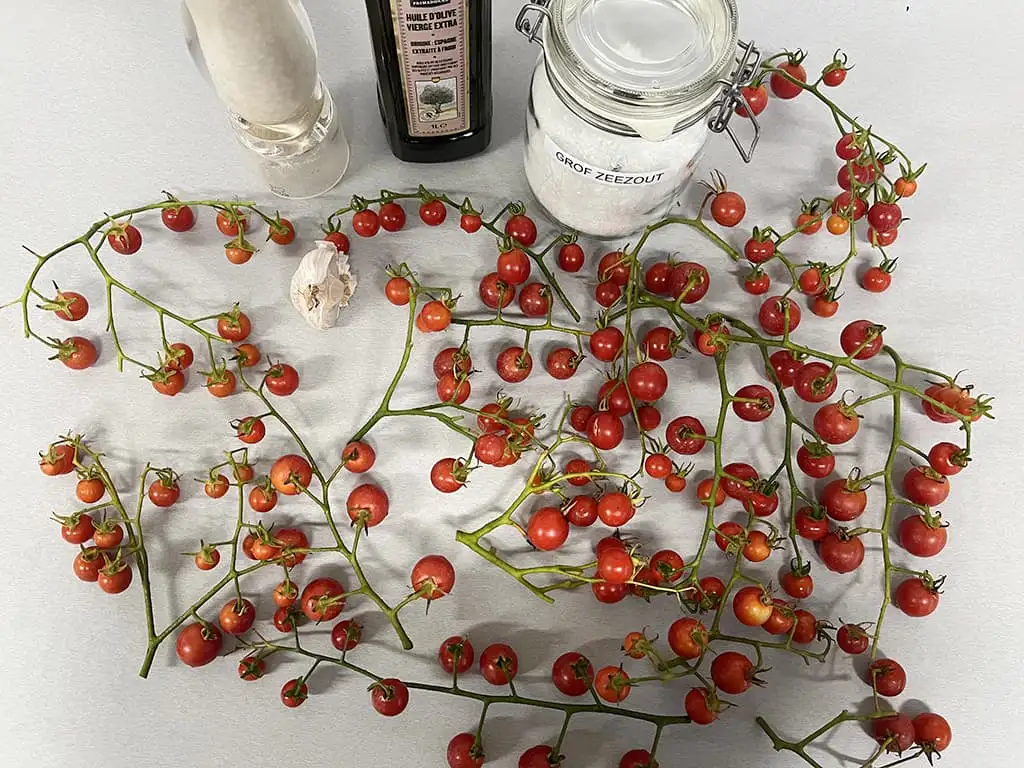 Cherrytomaatjes uit de oven ingrediënten